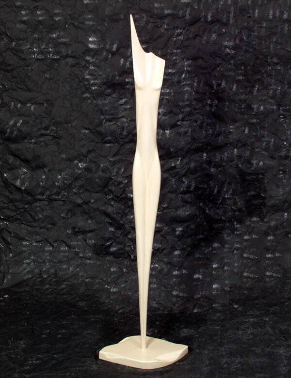 Abstract Piece Of Female Body