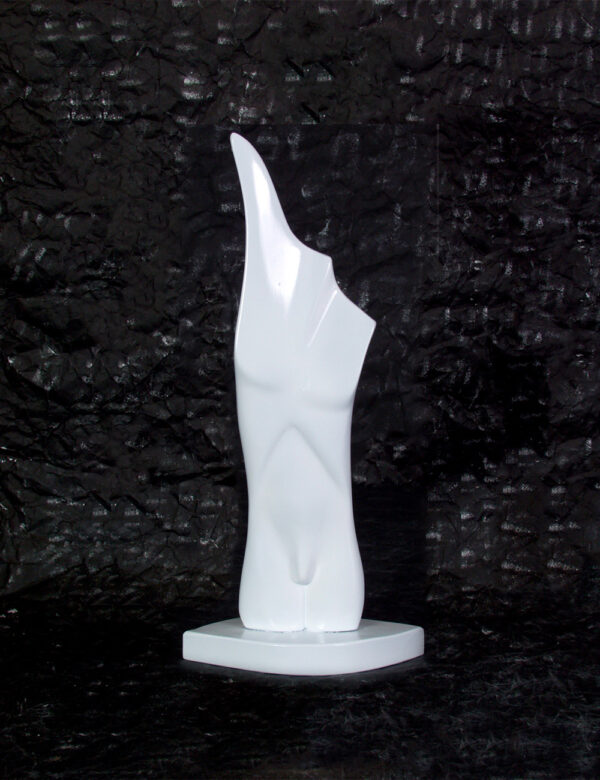 Abstract Male Body Piece
